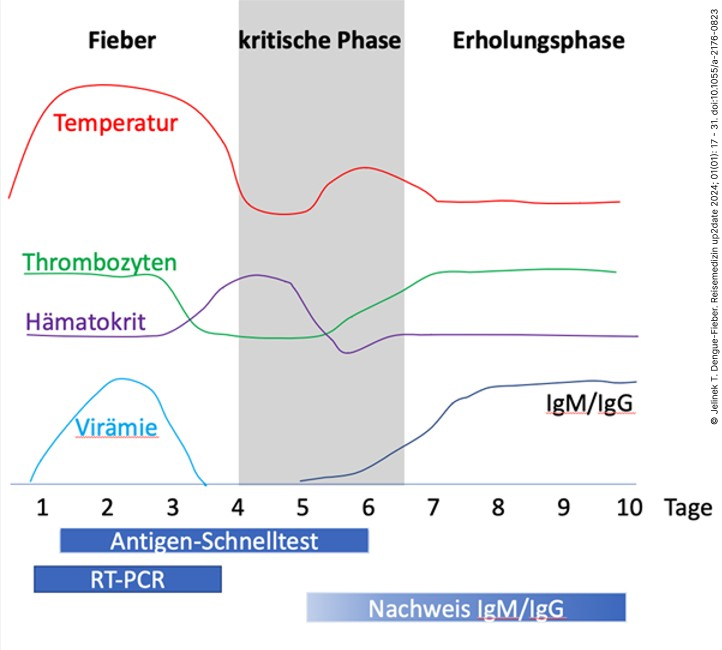Abb3_Dengue-Fieber_Krankheitsverlauf-und-Diagnostik